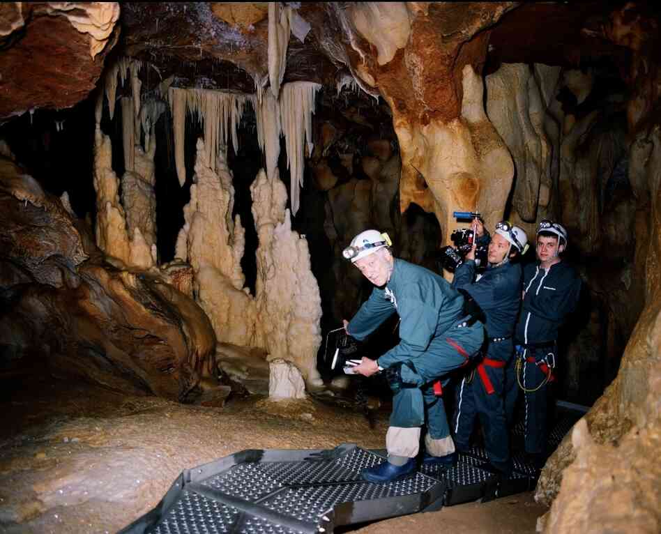 Herzog was only permitted to enter the caves for one week of filming.