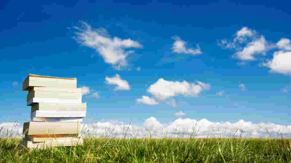 A stack of books in a grassy field.