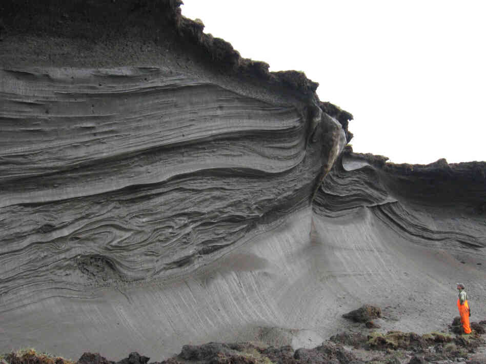 A scientist stands in front of an ice-rich permafrost exposure in the coastal zone of Herschel Island, Yukon Territory, Canada. Ice in the permafrost is melting, contributing to rapid erosion.