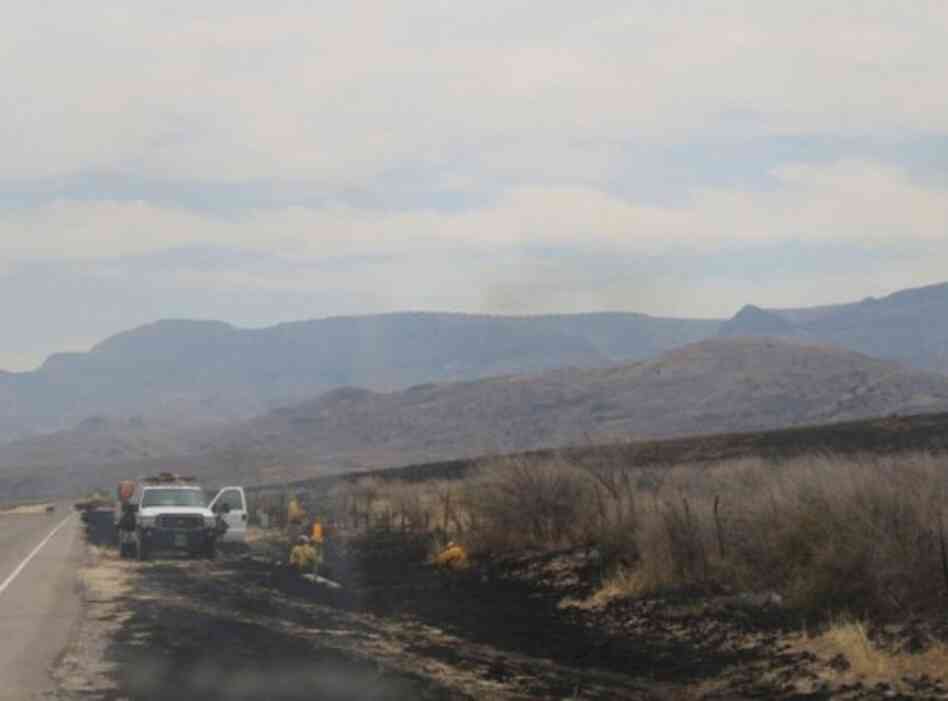Credit: Katherine Shaughnessy, Marfa Public Radio