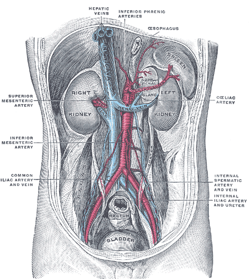 Donating a kidney can carry insurance side effects.
