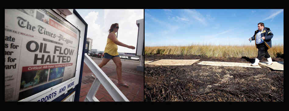Left: A New Orleans Times-Picayune front page reads "Oil Flow Halted," July 16, 2010, in New Orleans. Right: Plaquemines Parish President Billy Nungesser walks through dead and oiled marshland in Port Sulphur, La., Jan. 7, 2011. 