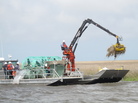Cleanup crews in the marshlands in Louisiana are using a long-armed machine with a rake on the end to help restore areas that were inundated with oil from the BP spill last April. Cleanup crews in the marshlands in Louisiana are using a long-armed machine with a rake on the end to help restore areas that were inundated with oil from the BP spill last April.