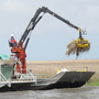 Cleanup crews in the marshlands in Louisiana are using a long-armed machine with a rake on the end to help restore areas that were inundated with oil from the BP spill last April.