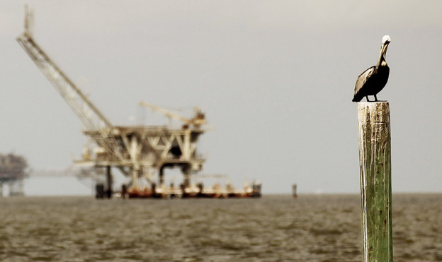 A pelican rests on a piling with an oil rig in the background April 18, 2011 in Dauphin Island, Ala.