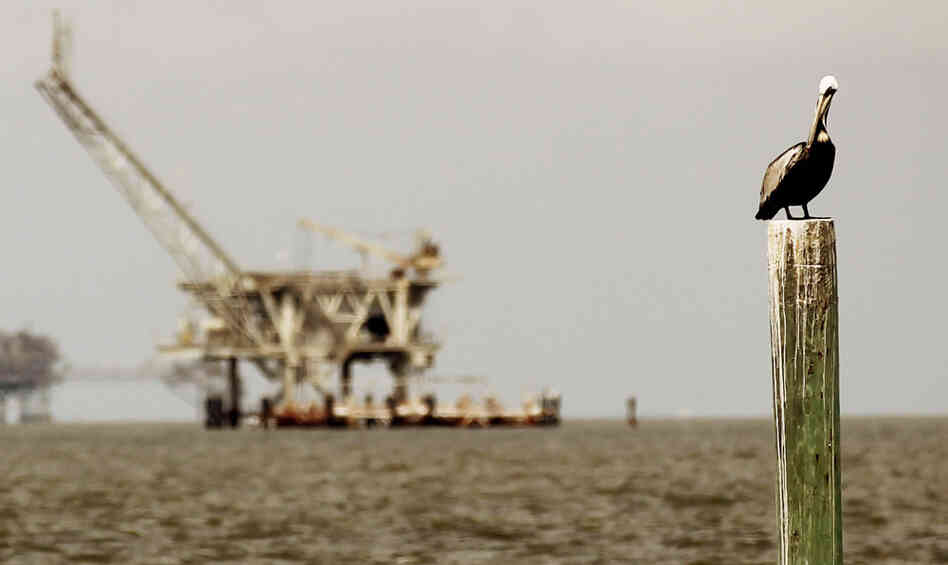 A pelican rests on a piling with an oil rig in the background April 18, 2011 in Dauphin Island, Ala.