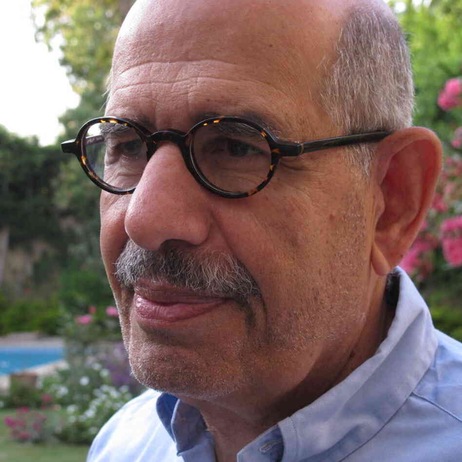 Mohamed ElBaradei, in the garden of his Cairo home earlier today (April 25, 2011).