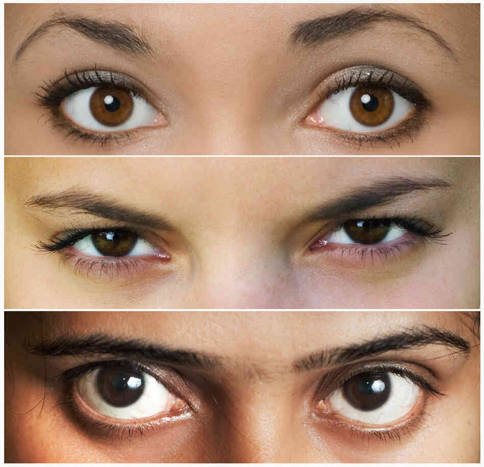 If you can't wrinkle your brow, you might not know how I'm feeling. If you can't wrinkle your brow, you might not know how I'm feeling.