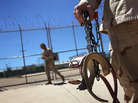 A U.S. military guard carries shackles in preparation for moving a detainee at the U.S. detention center in Guantanamo Bay, Cuba. A U.S. military guard carries shackles in preparation for moving a detainee at the U.S. detention center in Guantanamo Bay, Cuba.
