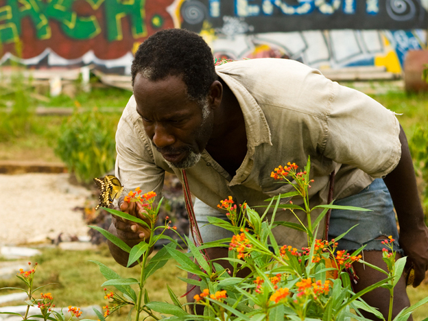 Herd struggles with his project's scope and costs, until he meets Lone Wolf (James McDaniel) and other homeless locals who gradually get involved with the project.