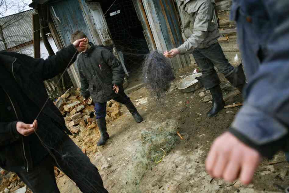 Ukrainian youngsters prepare a net for illegal fishing in contaminated waters in the village of Zorin, near the 19-mile exclusion zone around the Chernobyl plant, in 2006. The Chernobyl explosion spread a plume of radioactive smoke across thousands of square miles.  