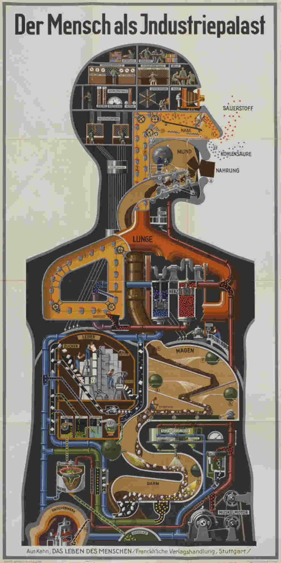 "Man as Industrial Palace" was printed in 1926, when Germany's chemical industry was the most advanced in the world. "Man as Industrial Palace" was printed in 1926, when Germany's chemical industry was the most advanced in the world.