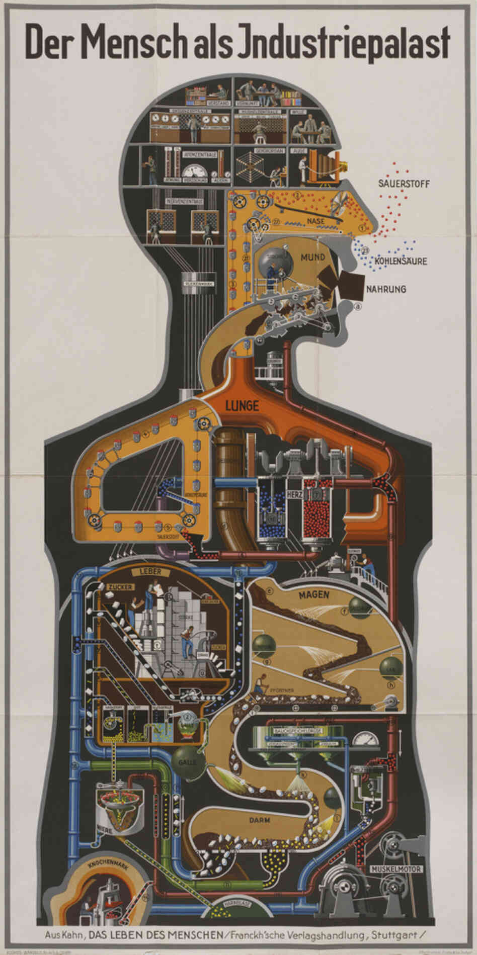 "Man as Industrial Palace" was printed in 1926, when Germany's chemical industry was the most advanced in the world. "Man as Industrial Palace" was printed in 1926, when Germany's chemical industry was the most advanced in the world.