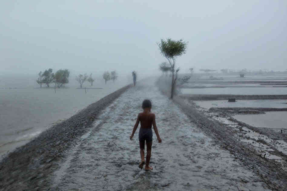 Villagers along the southern coast of Bangladesh not only have to cope with some of the world's heaviest rainfall; they also live in cyclone-battered communities, on mushy ground just a few feet above a rising sea. Villagers along the southern coast of Bangladesh not only have to cope with some of the world's heaviest rainfall; they also live in cyclone-battered communities, on mushy ground just a few feet above a rising sea.