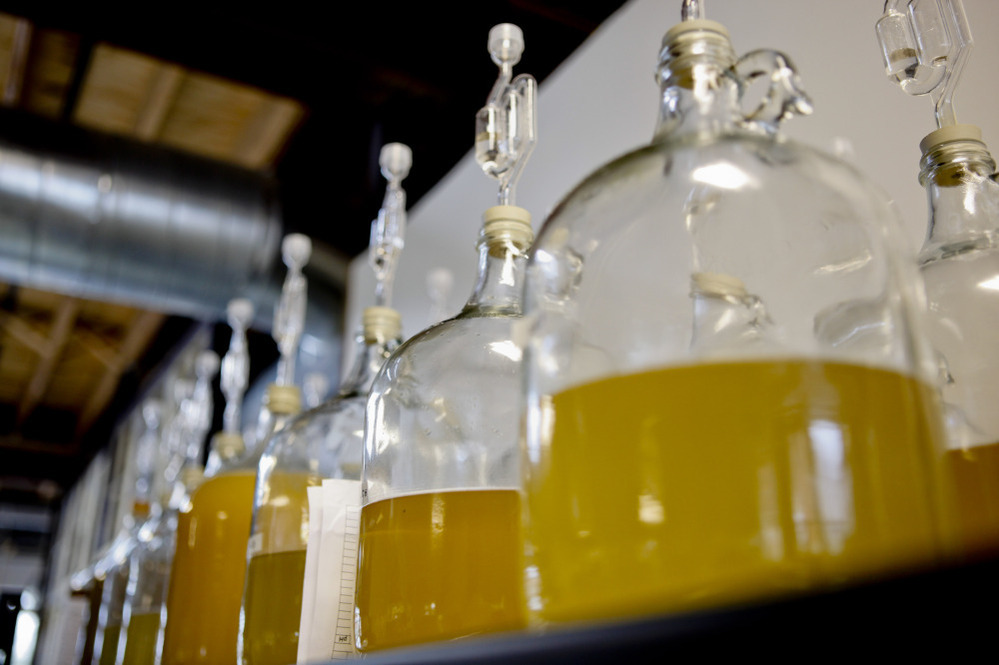 Long associated with the Middle Ages, mead, a fermented honey wine, is making a comeback — and not just at Renaissance fairs. Above, jugs of mead at Brothers Drake meadery in Columbus, Ohio.