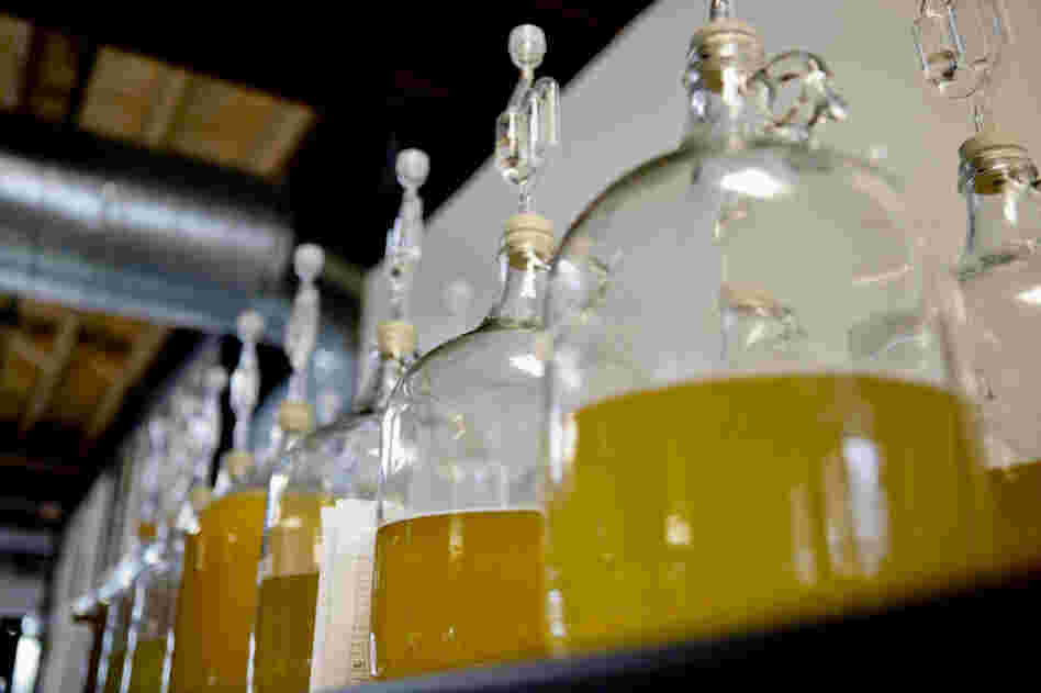 Long associated with the Middle Ages, mead, a fermented honey wine, is making a comeback — and not just at Renaissance fairs. Above, jugs of mead at Brothers Drake meadery in Columbus, Ohio.