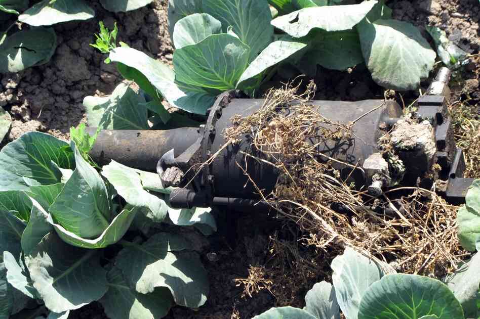 Debris is seen in the cabbage patch beside the compound, possibly from the helicopter that U.S. officials said malfunctioned during the raid on the al-Qaida chief's hideout. 