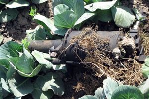 Debris is seen in the cabbage patch beside the compound, possibly from the helicopter that U.S. officials said malfunctioned during the raid on the al-Qaida chief's hideout.