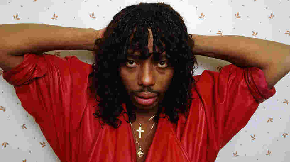 Rick James poses West Hollywood, Calif., in 1987. He died in 2004, but his estate is suing his label for royalties it says he's owed for digital sales. Rick James poses West Hollywood, Calif., in 1987. He died in 2004, but his estate is suing his label for royalties it says he's owed for digital sales.