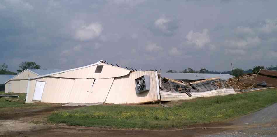 A tornado-damaged poultry house in Blount County, Ala. State officials say 3 million chickens died in the storms. A tornado-damaged poultry house in Blount County, Ala. State officials say 3 million chickens died in the storms.