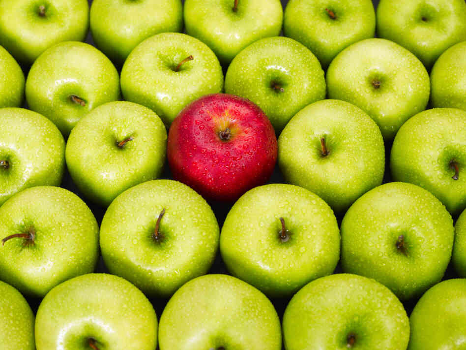 Over the years, the meaning of the "bad apple" proverb has changed. Over the years, the meaning of the "bad apple" proverb has changed.