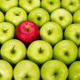Over the years, the meaning of the "bad apple" proverb has changed.
