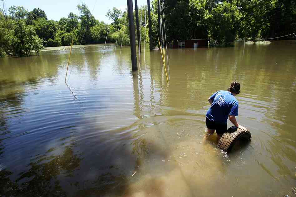MAY 16: Barbara Fontanille recovers a tire from the rising waters of the Atchafalaya River in Simmesport, La. Her family has no flood insurance and have relocated to a trailer provided by FEMA. 