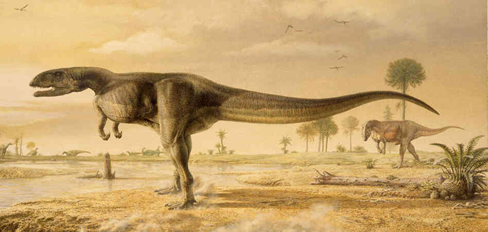Look behind the dinosaur, those are cycads. Look behind the dinosaur, those are cycads.