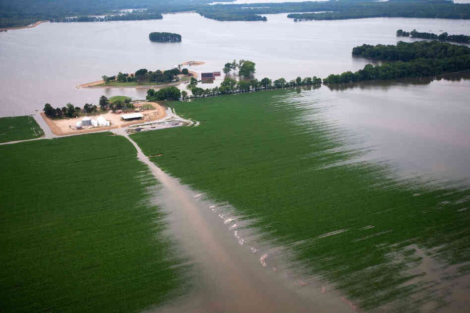 MAY 19: Floodwaters from the Yazoo River creep across fields of crops near Yazoo City, Miss. 