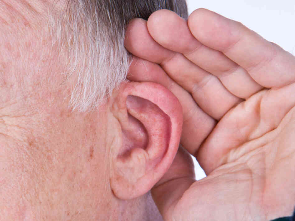 New research suggests years of musical training might offset the effects of aging on hearing. New research suggests years of musical training might offset the effects of aging on hearing.