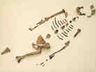 Fossil remains of Australopithecus afarensi, known as "Lucy," were first discovered in Ethiopia and Tanzania in the 1970s. Fossil remains of Australopithecus afarensi, known as "Lucy," were first discovered in Ethiopia and Tanzania in the 1970s.