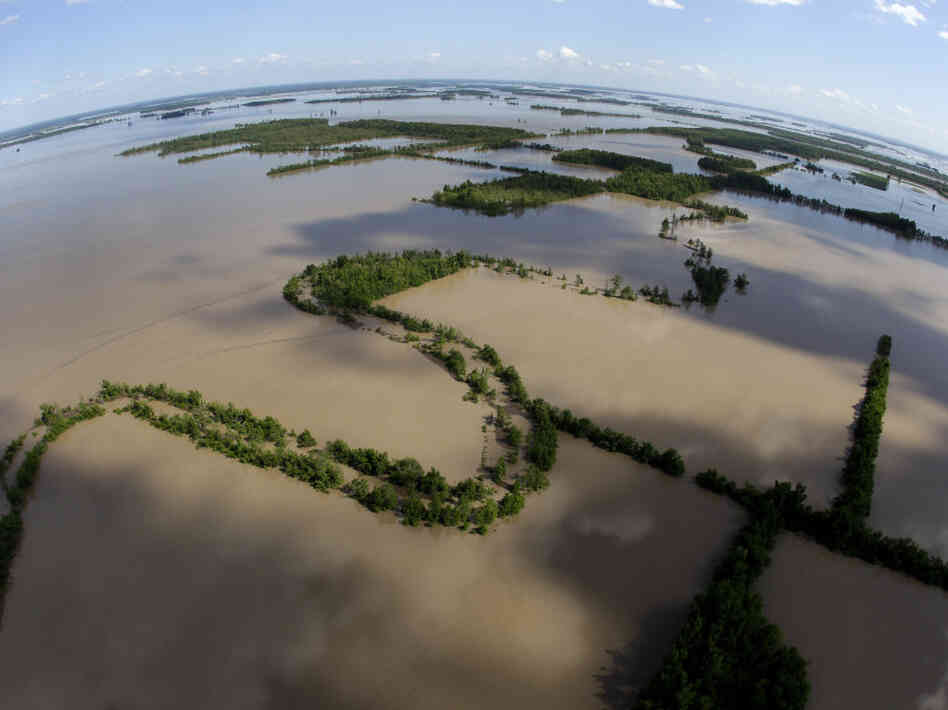 The Mississippi River floods north of New Madrid, Mo., earlier this month. The Mississippi River floods north of New Madrid, Mo., earlier this month.