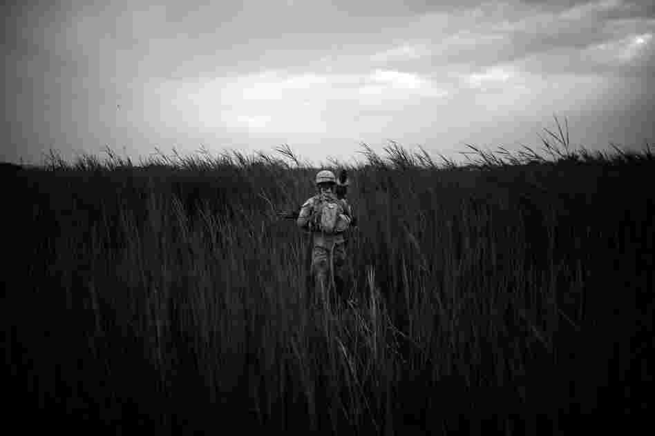 Lance Cpl. Joshua Stowers stands in the middle of a field of tall grass near the poppy fields in Sangin District.
