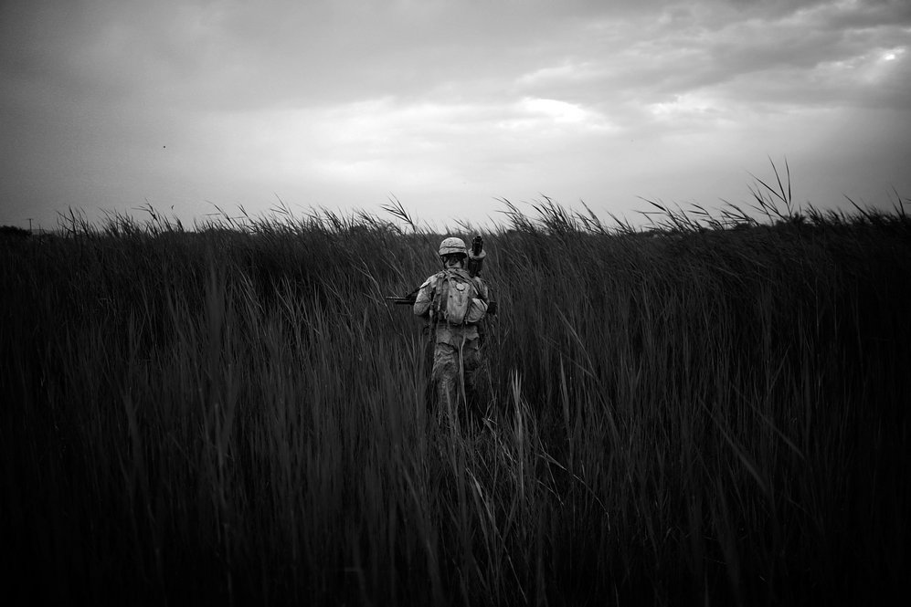 Lance Cpl. Joshua Stowers stands in the middle of a field of tall grass near the poppy fields in Sangin District.