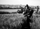Corporal Daniel Wheeler, Bravo Co. 1/5 Marines, walks through a waist high wheat field on a patrol in Sangin District near the Helmand River in southern Afghanistan earlier this month. Corporal Daniel Wheeler, Bravo Co. 1/5 Marines, walks through a waist high wheat field on a patrol in Sangin District near the Helmand River in southern Afghanistan earlier this month.
