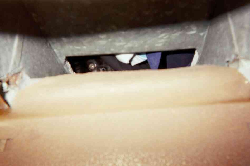 Sometimes you can't see the dog; you can only hear their unholy growls and snarling from behind the mail slot. Then, when you put the mail through, you'll find it wrenched from your grip and sucked into the house. You walk away, kissing your fingers, thankful to still have them. This photo, taken through the slot, is a rare glimpse of this horrifying experience.