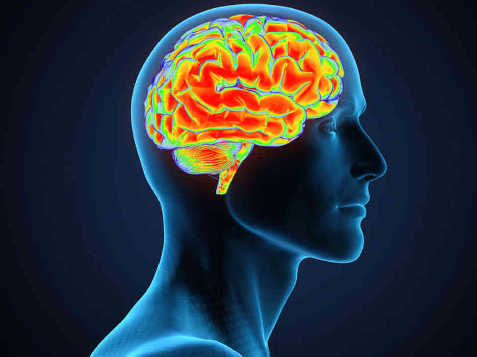 Profile view of man and his brain. In our second hour, guests explain the rehabilitation process and the road to recovery from brain injury. Profile view of man and his brain. In our second hour, guests explain the rehabilitation process and the road to recovery from brain injury.
