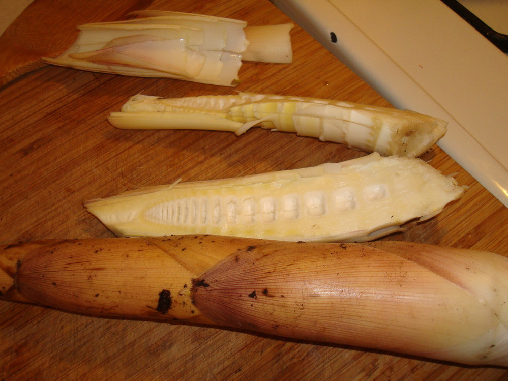 Peeling back the outer leaves of the bamboo shoot reveals the delicate champagne-colored inner leaves (top left). The shoots are sliced vertically after they're boiled and cooled.