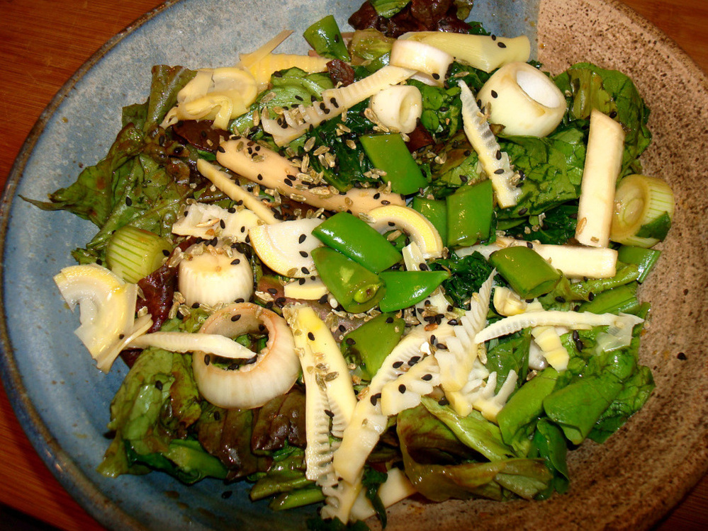Seasonal Salad