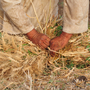 "I think more and more people are beginning to realize that food is the new oil in the sense that there's a real struggle now to control sources of food and food supplies," says Lester Brown. "The exporting countries are obviously in a strong position now."