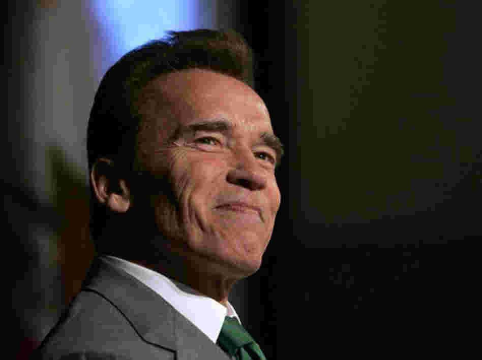 Arnold Schwarzenegger has acknowledged that he fathered a child with a household employee before he became California governor.