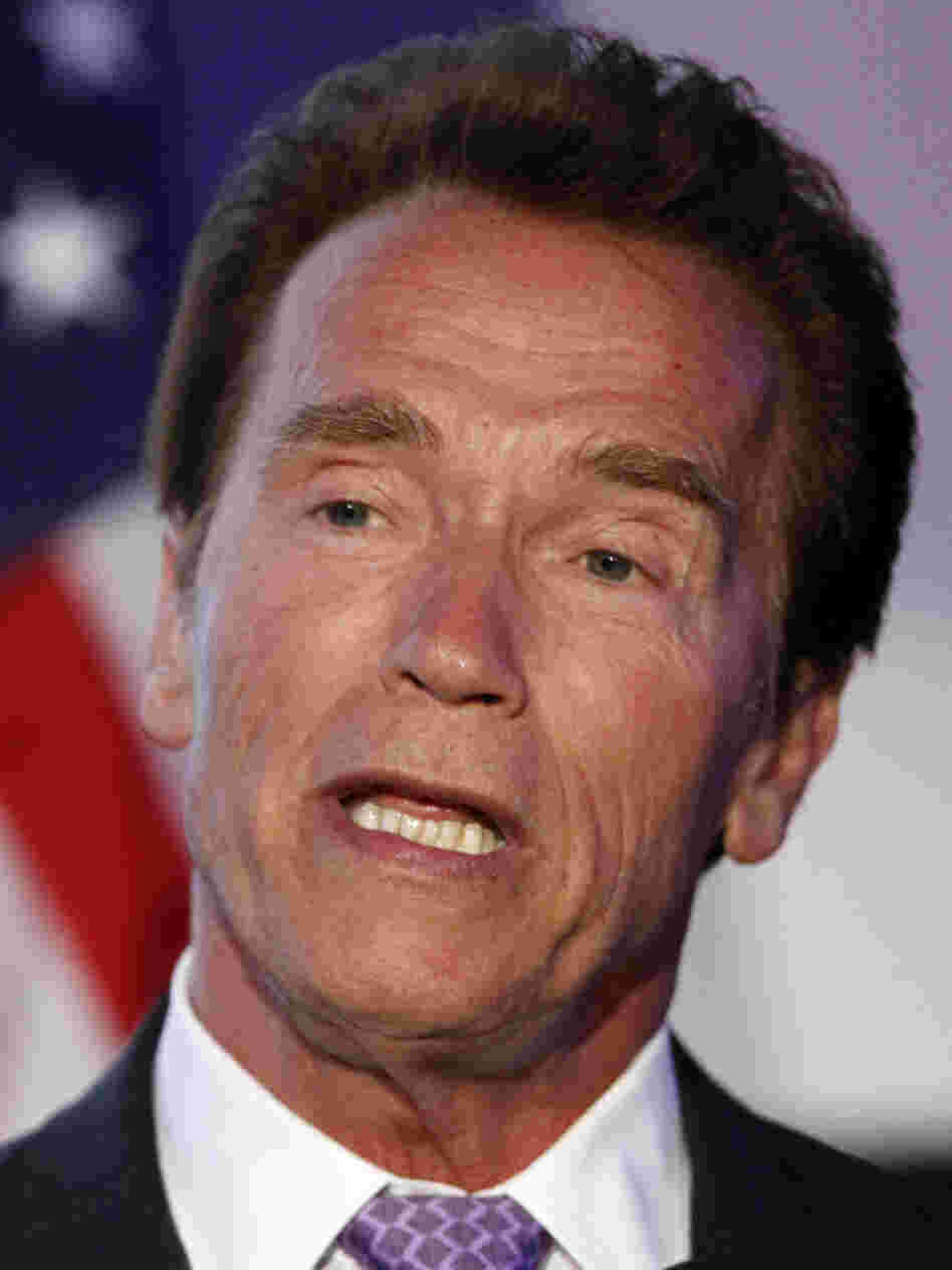 Arnold Schwarzenegger, May 10, 2011.