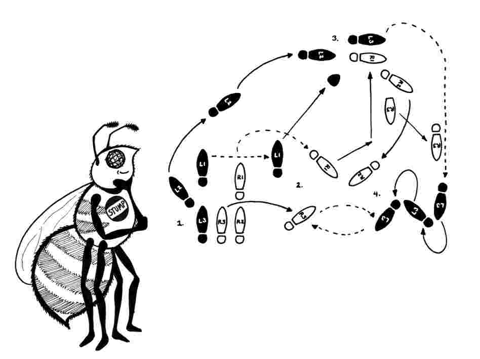 The waggle dance. The waggle dance.