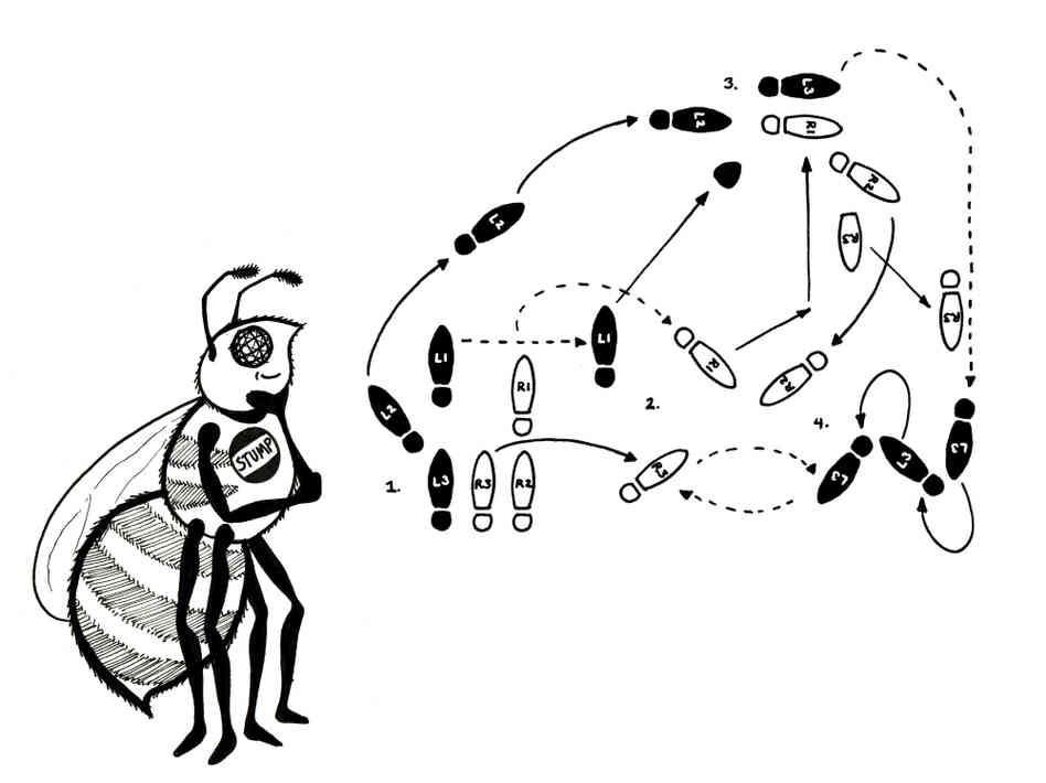 The waggle dance. The waggle dance.