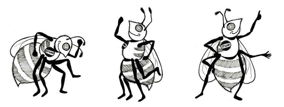 Dancing bees. Dancing bees.