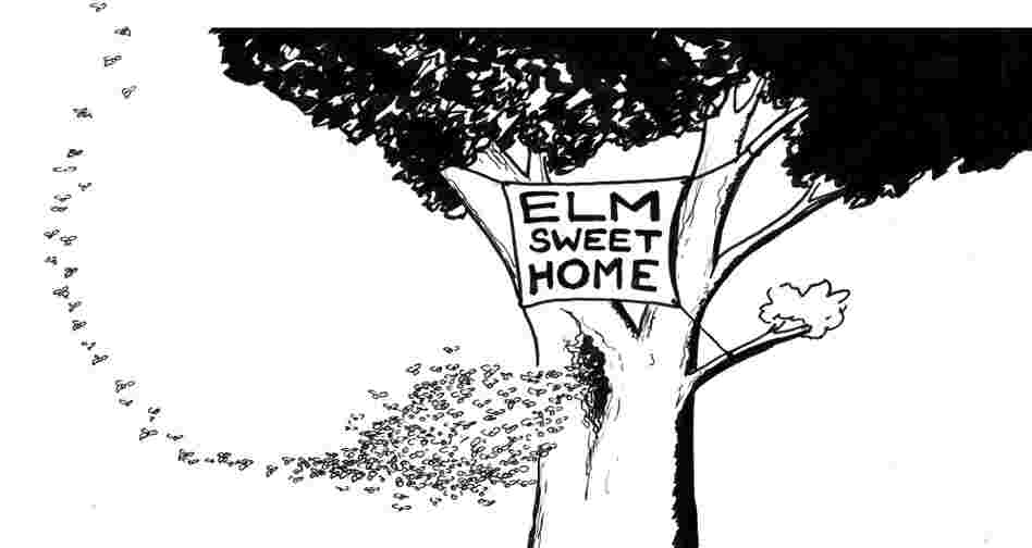 Elm sweet home. Elm sweet home.