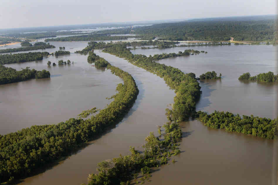 A wider aerial photo shows how the flooded Mississippi River has forced the Yazoo River to top its banks where the two meet near Vicksburg, Miss., causing towns and farms upstream to flood on Wednesday. A wider aerial photo shows how the flooded Mississippi River has forced the Yazoo River to top its banks where the two meet near Vicksburg, Miss., causing towns and farms upstream to flood on Wednesday.