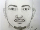 The Los Angeles Police Department released these drawings during a news conference Sunday (May 22, 2011), of two suspects in the beating of San Francisco Giants fan Brian Stow. The Los Angeles Police Department released these drawings during a news conference Sunday (May 22, 2011), of two suspects in the beating of San Francisco Giants fan Brian Stow.