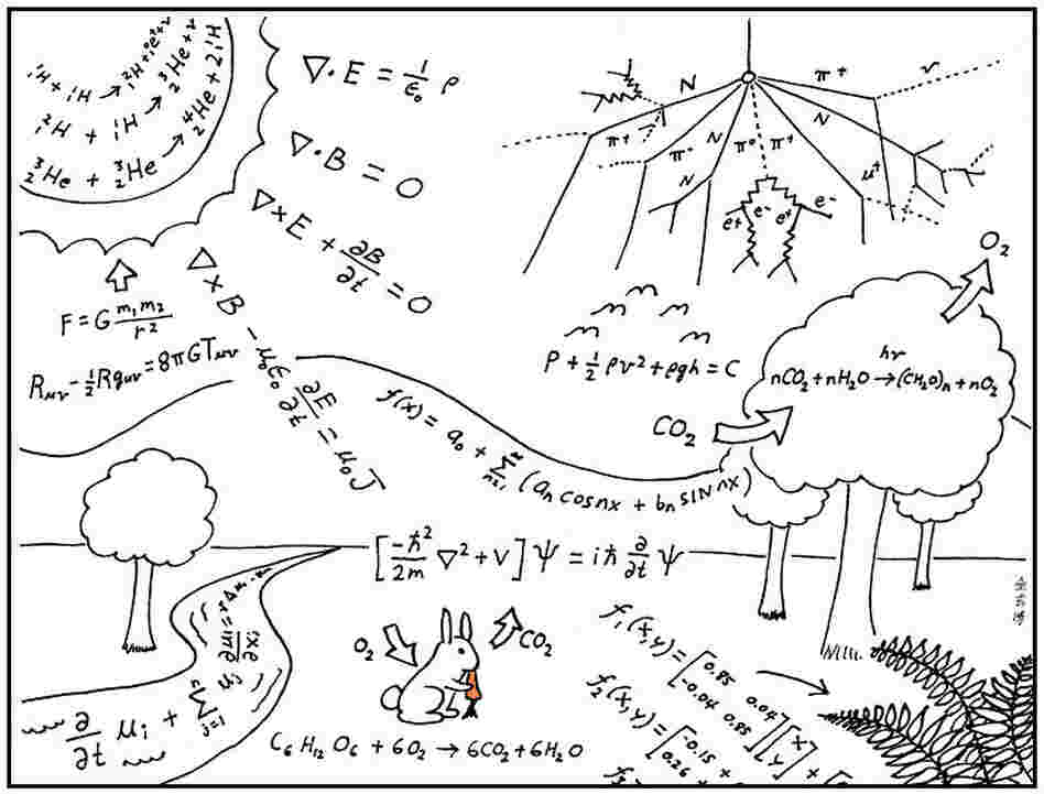 This is how scientist see the world.