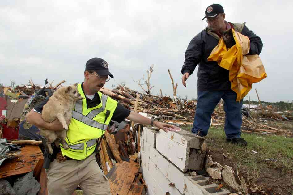 Deputy Eddy Mathews of Mayes County, Okla., hands off a dog to volunteer Mike Hughey of Ozark, Mo., after rescuers found the dogs in the rubble of a destroyed home. 